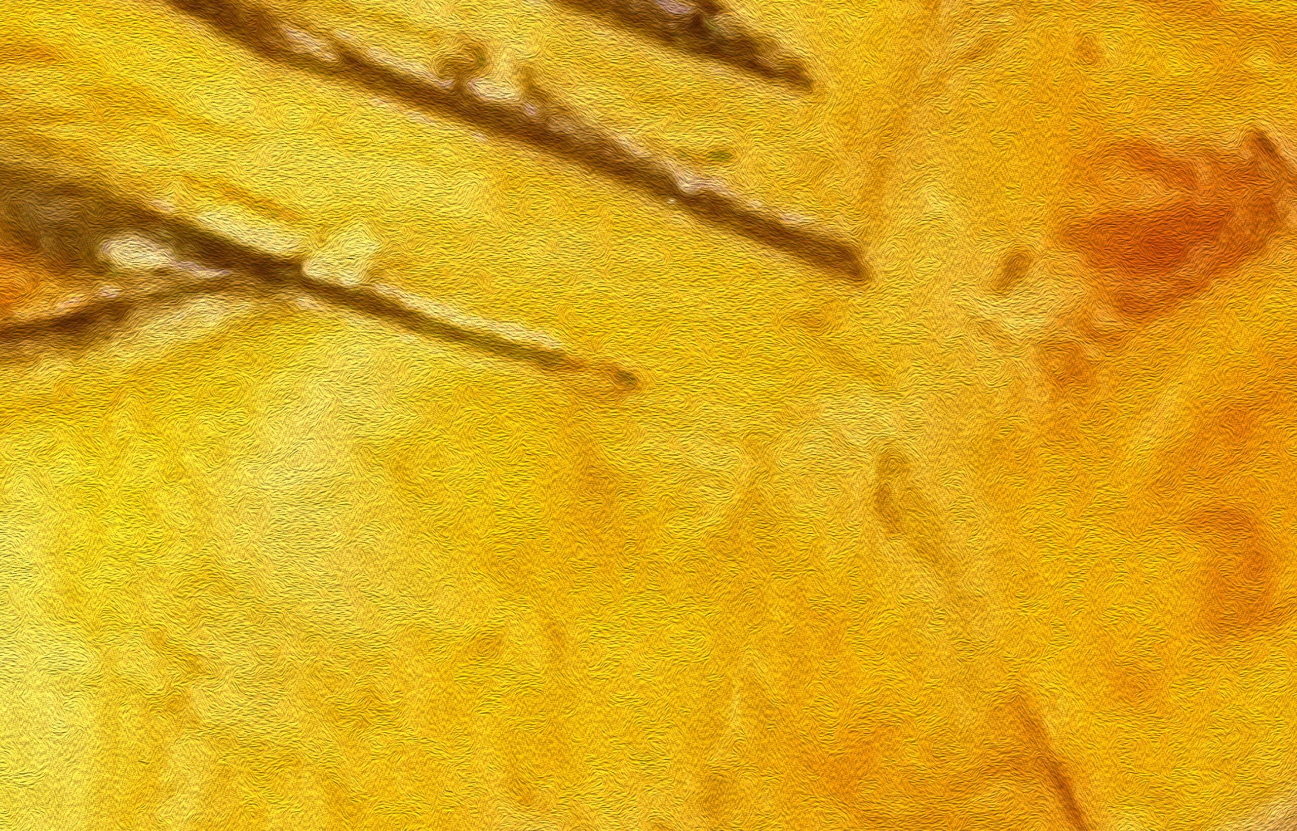 The Pharaoh's Hope - Image 3