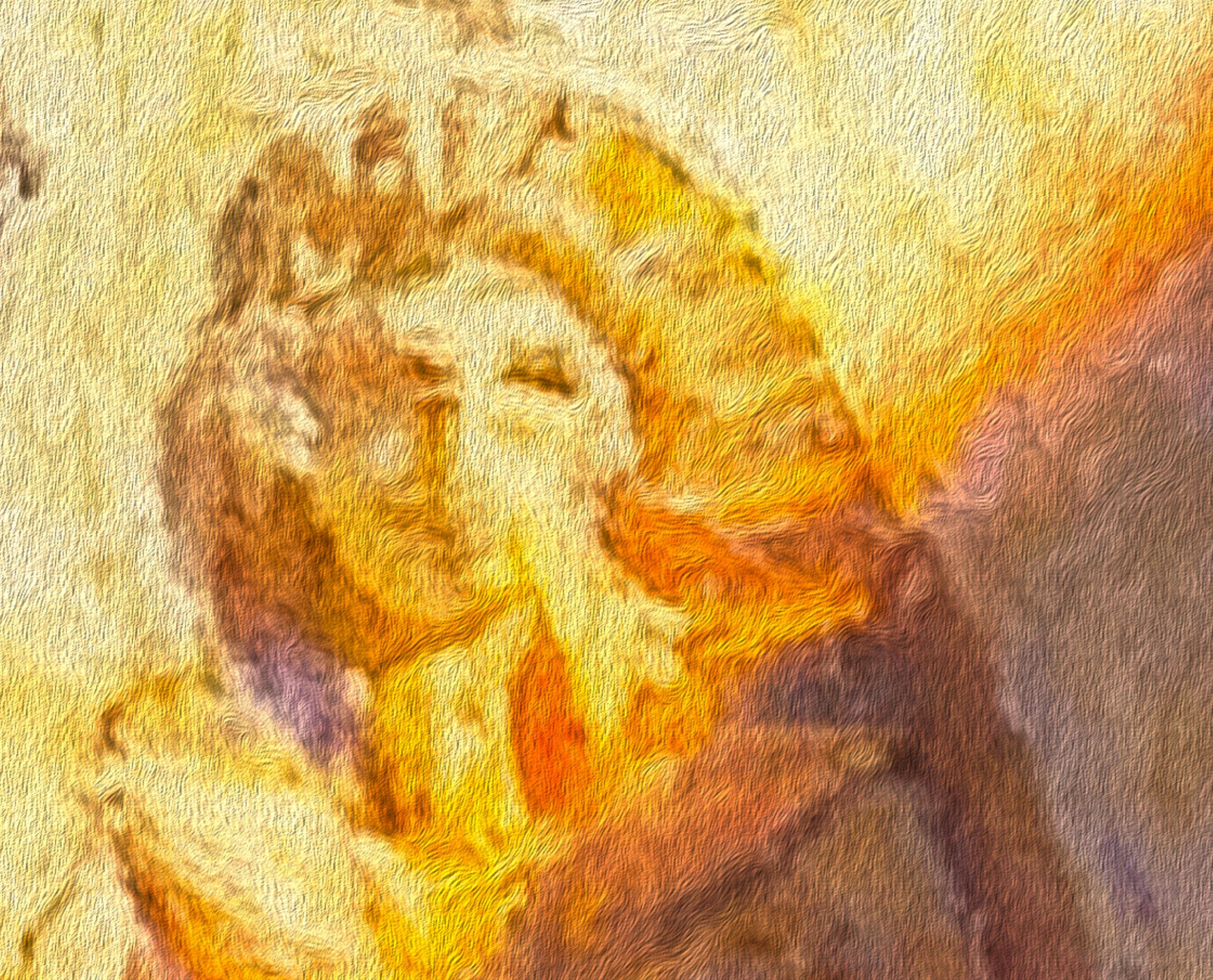 Beneath the Burning Sun - Image 2