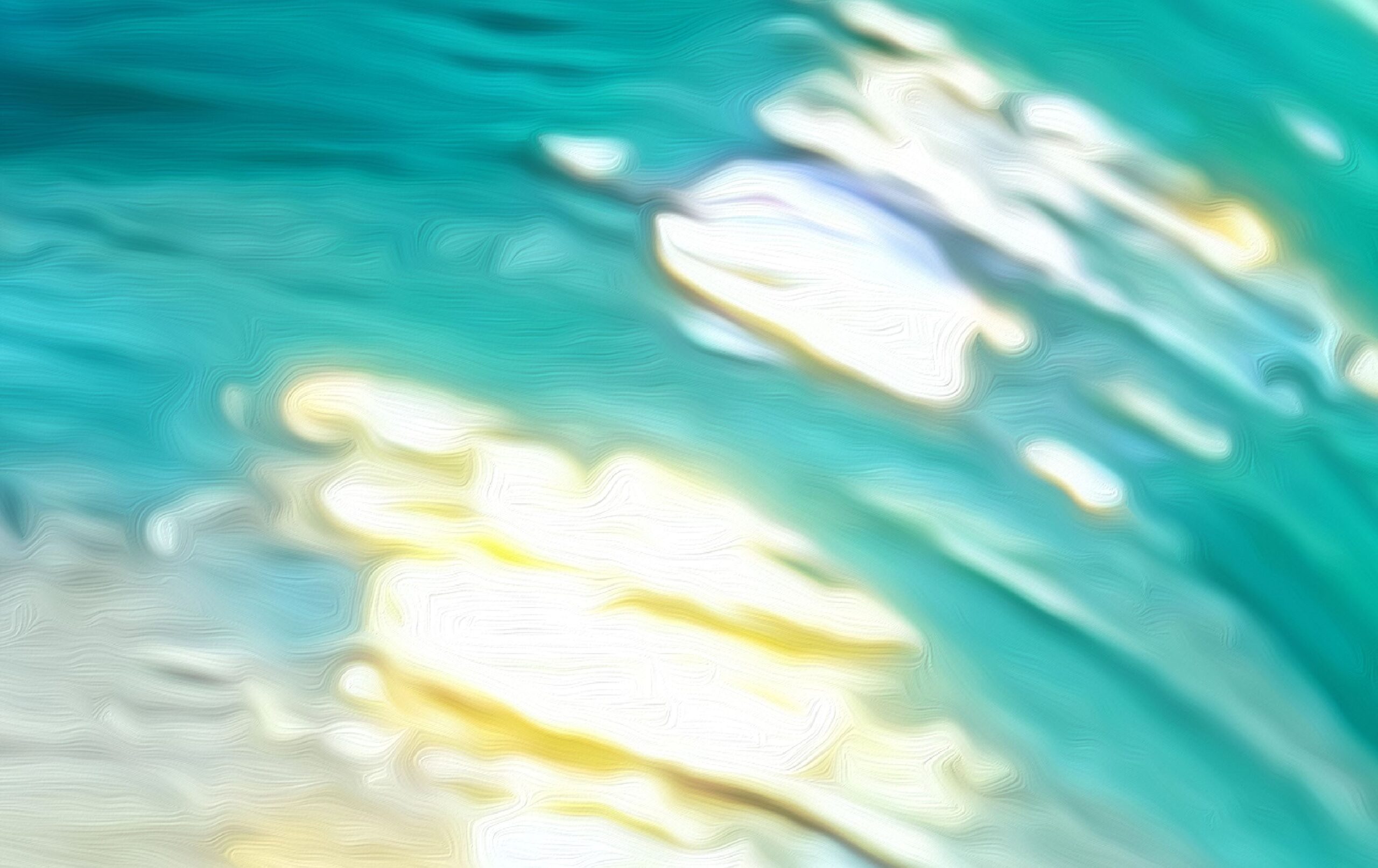Vibrant Bloom - Image 2