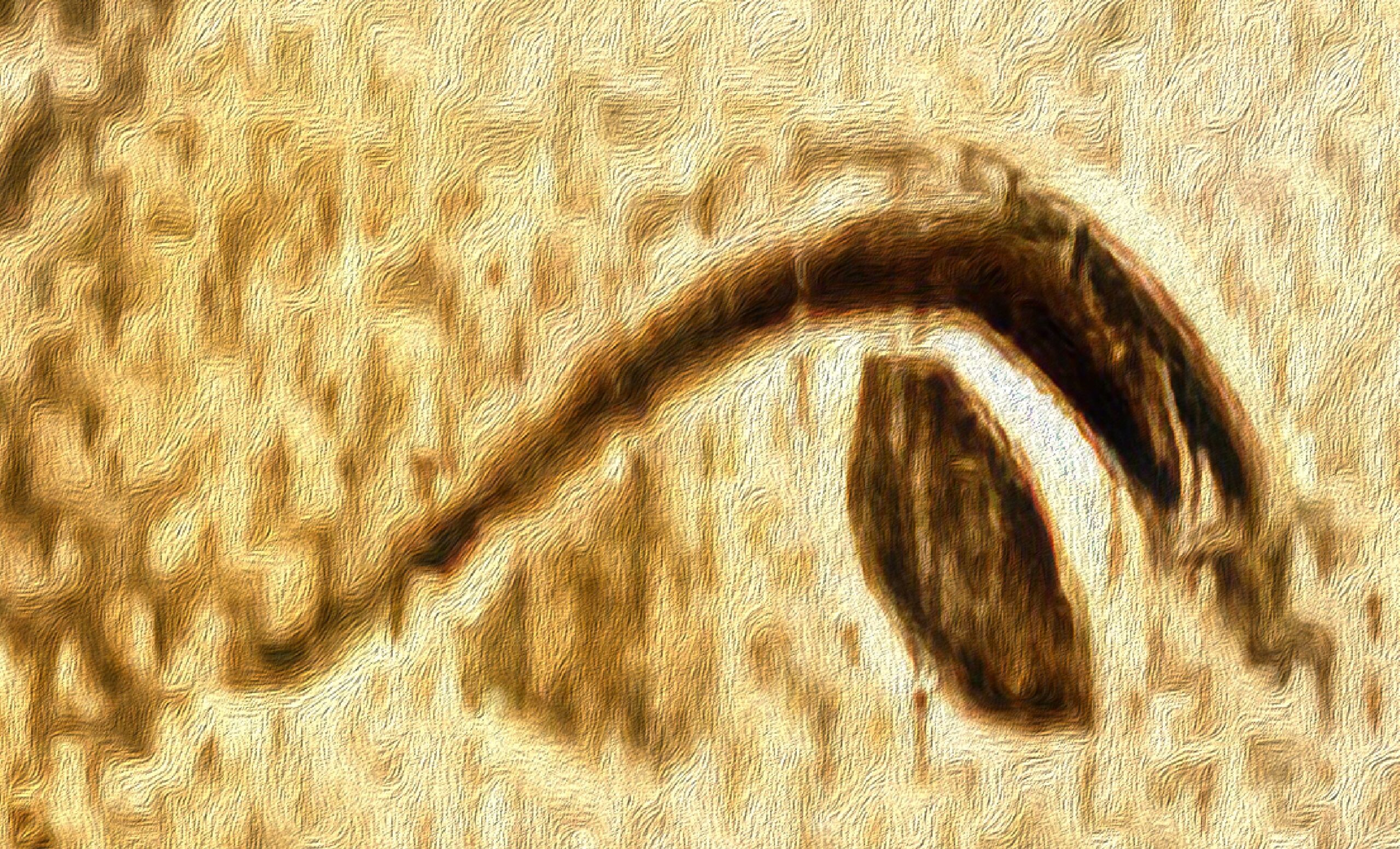 The Eternal Watcher - Image 2