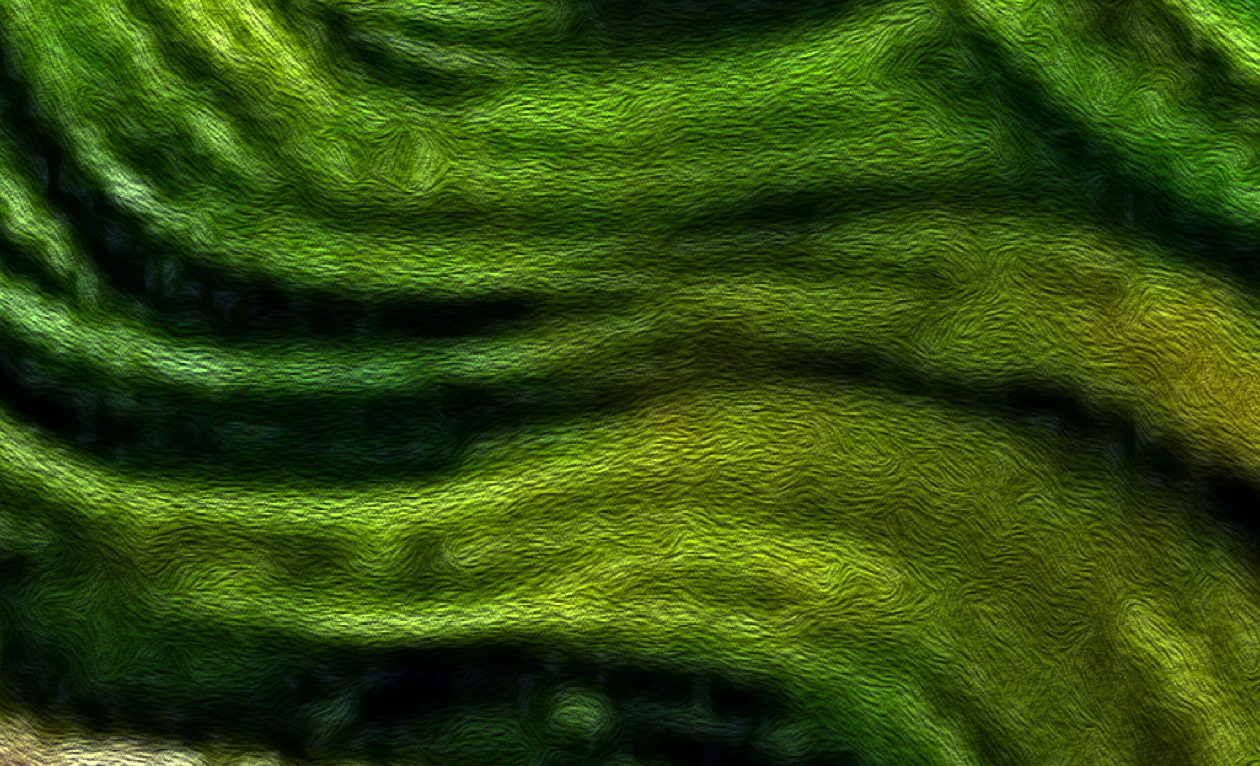 The Forgotten Vessel (VI) - Image 3