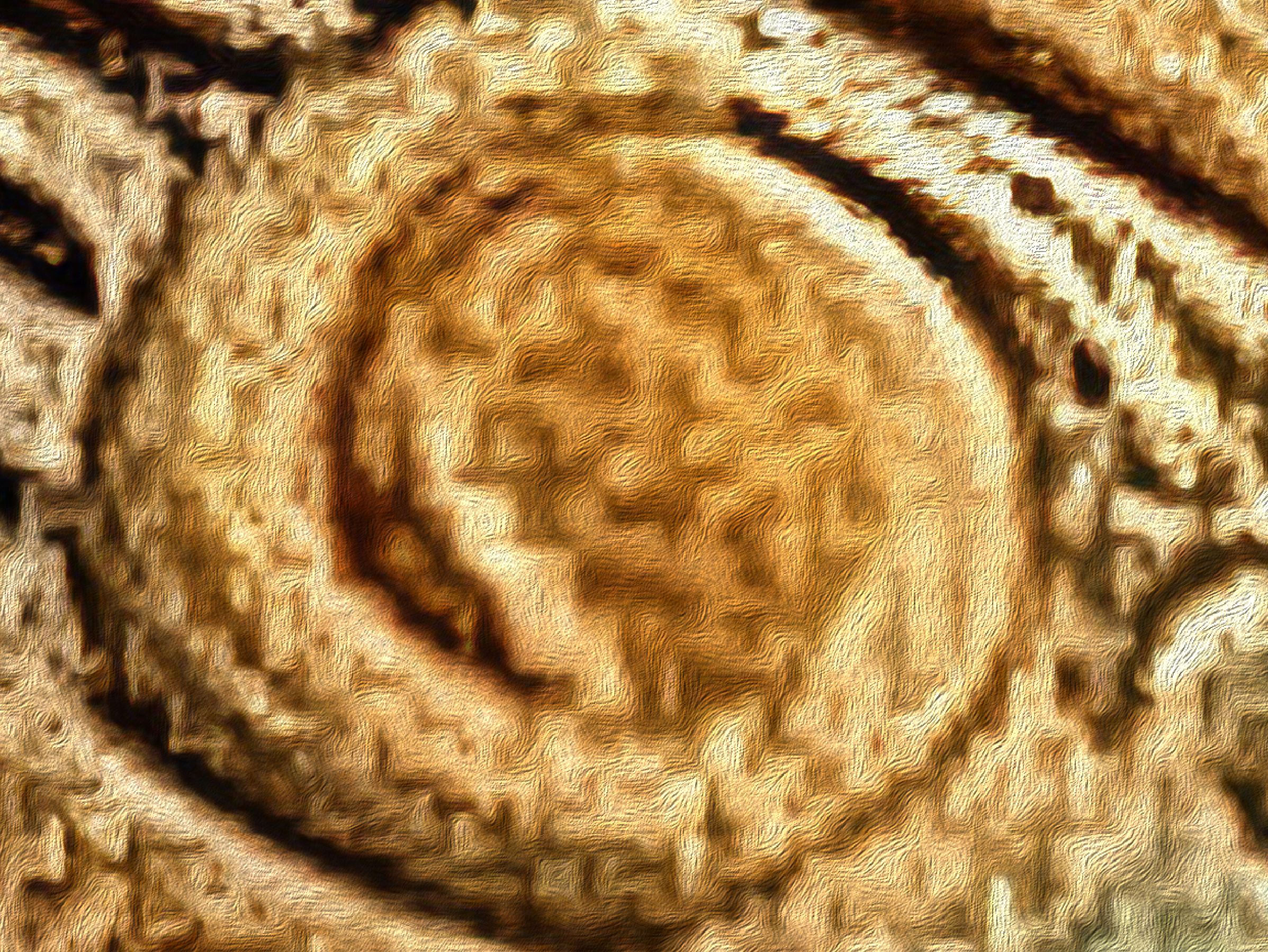The Eternal Watcher - Image 3