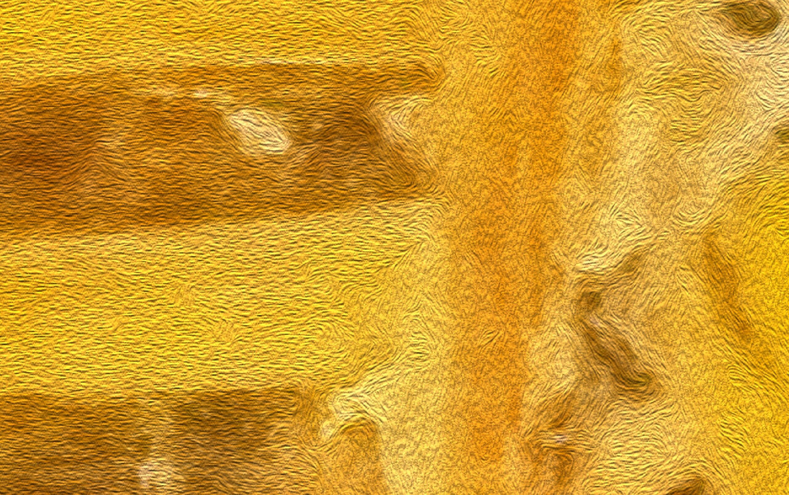 The Pharaoh's Hope - Image 5